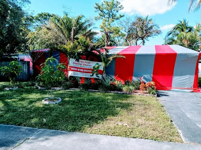 Termite Control in Fort Lauderdale, FL