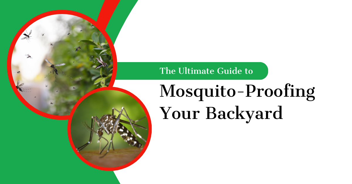 The Ultimate Guide to Mosquito-Proofing Your Backyard