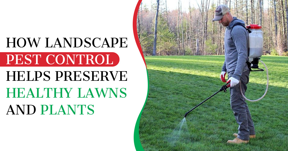 How Landscape Pest Control Helps Preserve Healthy Lawns and Plants